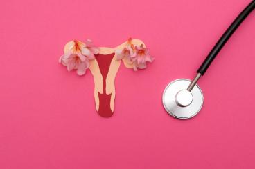 Hormony a hubnutí: Proč ti po čtyřicítce tělo přestává odpouštět prohřešky (a co s tím) | Schudni s DaVe