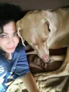 darina crespo